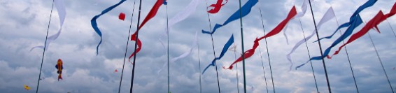 Фестиваль в городе Пушкин